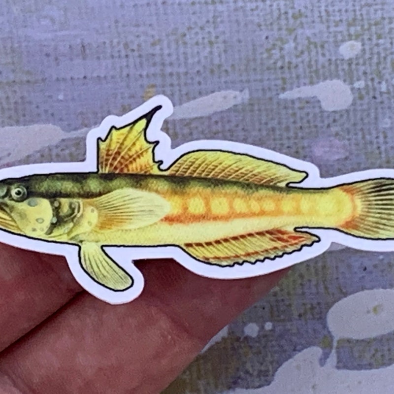Sleeper Stickers - Etsy - Page 2
