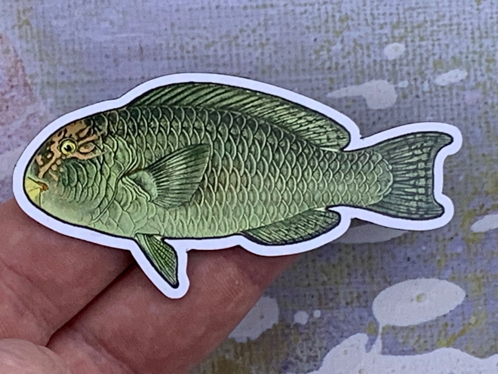 Photo of a reefcrest parrtofish magnet in someone's hand