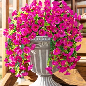 Pu&ograve; includere: Un'elegante fioriera grigia traboccante di vibranti fiori magenta e fogliame verde. Le fioriture a cascata creano un'esposizione lussureggiante e completa, perfetta per aggiungere un tocco di colore a qualsiasi spazio esterno. La fioriera &egrave; realizzata in un materiale resistente.