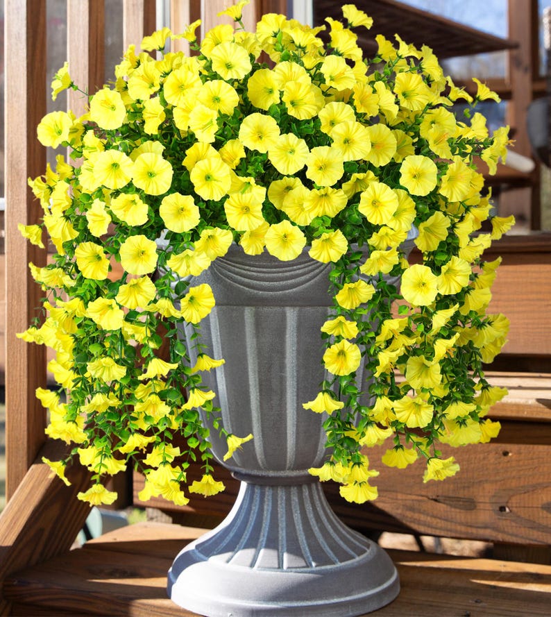Pu&ograve; includere: Un'elegante fioriera grigia traboccante di vivaci fiori gialli. I fiori ricadono sui lati della fioriera, creando un aspetto lussureggiante e pieno. La fioriera &egrave; realizzata in un materiale resistente ed &egrave; adatta per uso esterno.