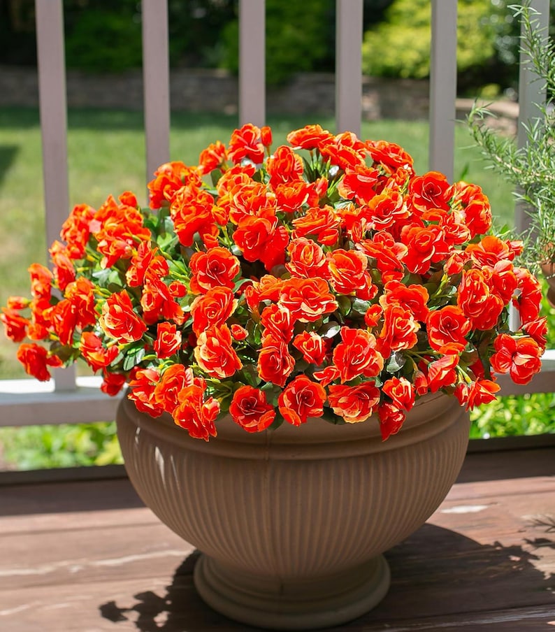 Flores de camelia de seda sintética resistentes a los rayos UV: Flores artificiales para exteriores - 3 ramos Orange
