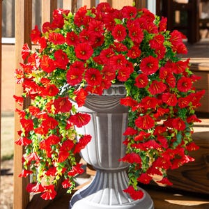 Pu&ograve; includere: Un'urna grigia traboccante di vivaci fiori rossi e fogliame verde. Le fioriture a cascata creano un'esposizione lussureggiante e completa, perfetta per aggiungere un tocco di colore a qualsiasi spazio esterno. L'urna &egrave; realizzata in un materiale resistente.