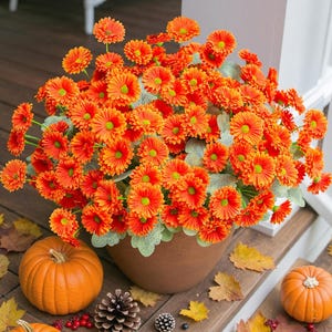 Artificial Mums & Sunflowers: UV Resistant Fall Flowers for Outdoor ...