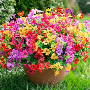 May include: A vibrant pot of colorful flowers in shades of red, yellow, pink, and purple. The flowers are in full bloom, creating a dense, textured display. The pot is a warm brown color, and the flowers are set against a backdrop of green grass.