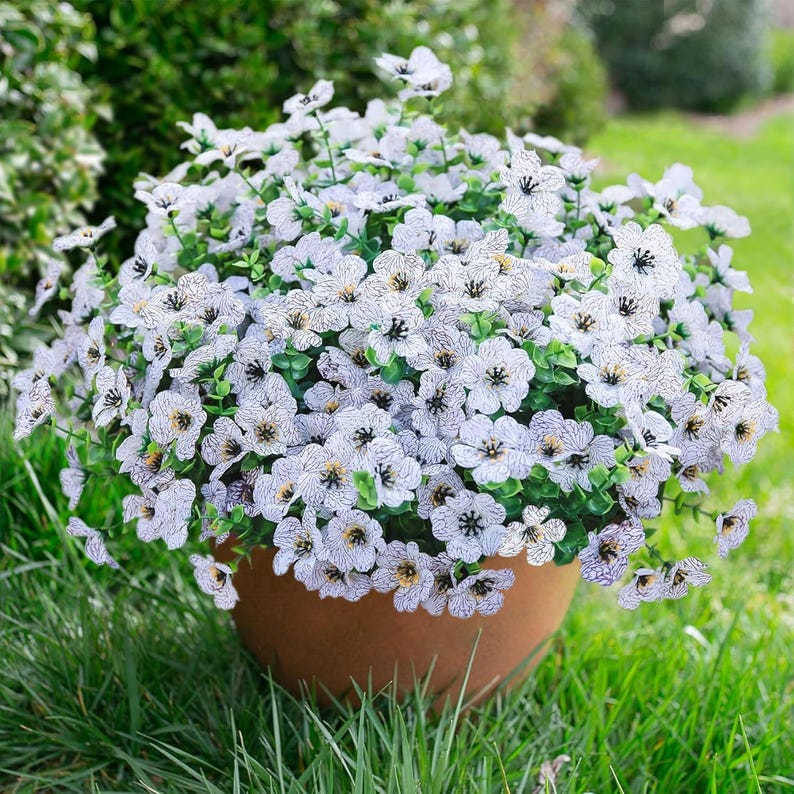 May include: A potted plant featuring numerous small white flowers with intricate dark purple veining and yellow centres. The flowers are attached to thin green stems with small green leaves, all contained within a simple, round, terracotta-coloured pot.