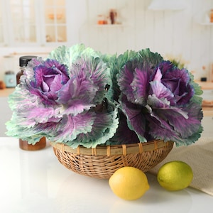 May include: Two artificial purple and green cabbage heads in a woven basket with two yellow lemons on a white surface.