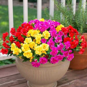 Flores de camelia de seda sintética resistentes a los rayos UV: Flores artificiales para exteriores - 3 ramos RedPurpleYellow