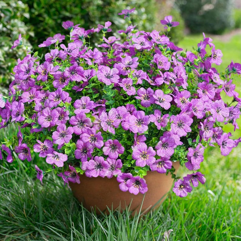 May include: A dense cluster of small, vibrant purple flowers with dark centres and delicate veined petals, arranged in a rounded shape within a simple, smooth, light brown terracotta-coloured pot, showcasing lush green foliage throughout.