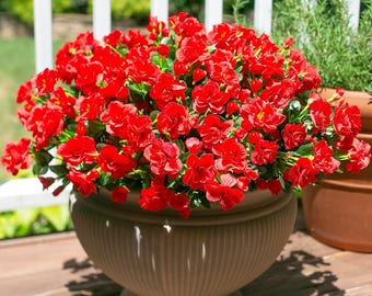 UV Resistant Faux Silk Camellia Flowers: Outdoor Artificial Flowers - 3 Bundles