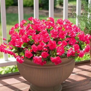 Flores de camelia de seda sintética resistentes a los rayos UV: Flores artificiales para exteriores - 3 ramos Hotpink