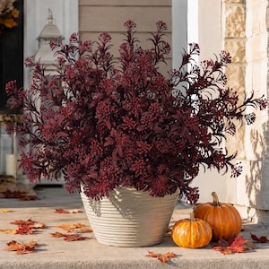 May include: A deep burgundy artificial plant with dense, textured foliage and small clusters of buds, potted in a round, light-colored, horizontally ribbed planter. Two orange pumpkins sit on the ground next to the base of the planter.