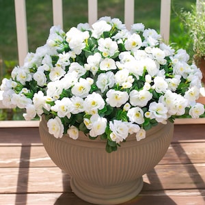 Flores de camelia de seda sintética resistentes a los rayos UV: Flores artificiales para exteriores - 3 ramos White