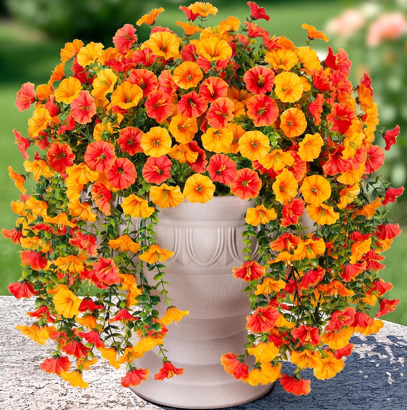 Pu&ograve; includere: Un grande vaso bianco traboccante di vibranti fiori arancioni e gialli. I fiori scendono a cascata dai lati del vaso, creando un'esposizione lussureggiante e colorata. I fiori sono in piena fioritura, aggiungendo un tocco di bellezza naturale a qualsiasi spazio esterno.