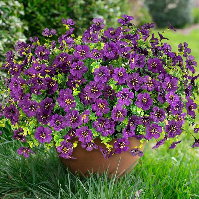 May include: A dense cluster of small, vibrant purple flowers with yellow centres, featuring numerous green leaves, arranged in a rounded shape within a simple, smooth, light brown terracotta-coloured pot, creating a full and lush appearance.