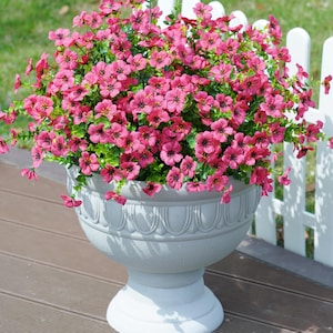 May include: A large, light grey pedestal planter filled with a dense arrangement of vibrant pink flowers. The planter features a rounded bowl shape with a decorative scalloped rim detail and a sturdy, wide base, holding numerous small blossoms.