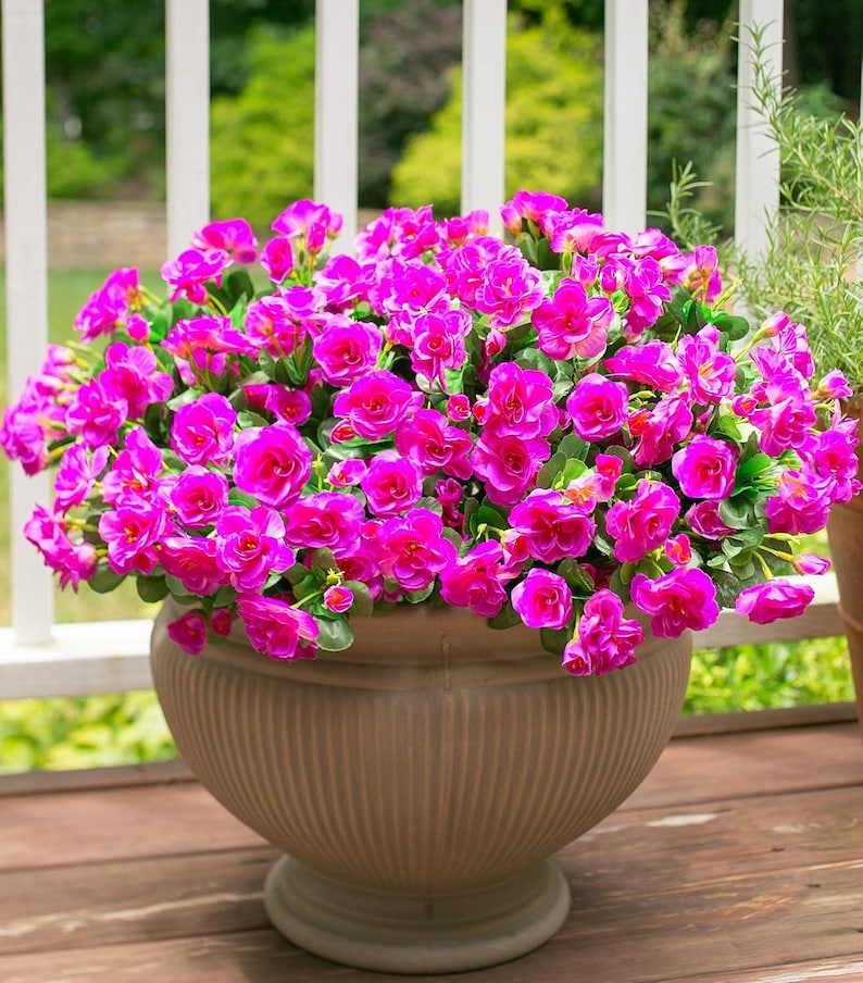Flores de camelia de seda sintética resistentes a los rayos UV: Flores artificiales para exteriores - 3 ramos Fuchsia