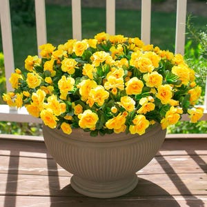 Flores de camelia de seda sintética resistentes a los rayos UV: Flores artificiales para exteriores - 3 ramos Yellow