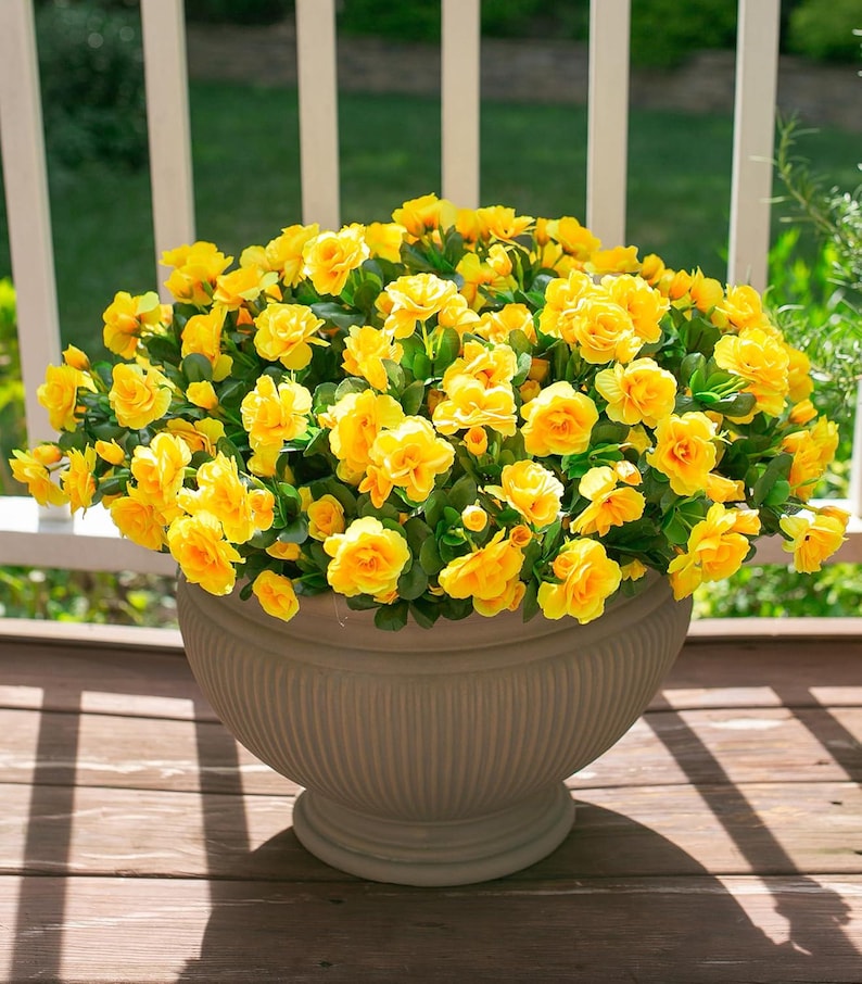Flores de camelia de seda sintética resistentes a los rayos UV: Flores artificiales para exteriores - 3 ramos Yellow