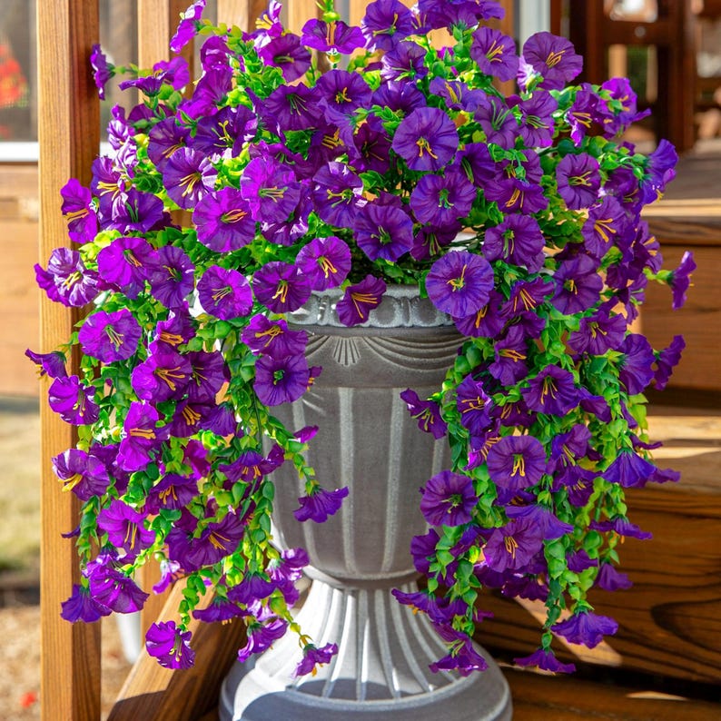 Pu&ograve; includere: Un'urna decorativa grigia traboccante di vibranti fiori viola e fogliame verde. I fiori hanno centri gialli e scendono a cascata sui lati dell'urna. L'urna &egrave; posizionata su una superficie di legno.
