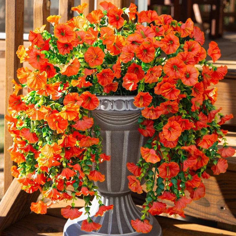 Pu&ograve; includere: Un grande vaso grigio ornato traboccante di vivaci fiori arancioni e fogliame verde. I fiori scendono a cascata sui lati del vaso, creando un'esposizione piena e lussureggiante. Il vaso &egrave; posto su una superficie di legno.