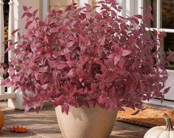 Plantas artificiales de otoño, follaje exterior resistente a los rayos UV, 5 manojos de tallos.
