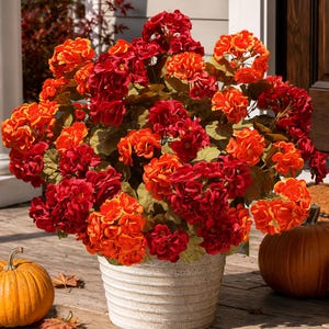 May include: A large, rounded arrangement of artificial geranium flowers in vibrant shades of red and orange, featuring numerous clusters of small, multi-petaled blossoms and green leaves, housed in a textured, off-white, ribbed cylindrical pot.