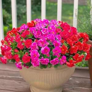 Flores de camelia de seda sintética resistentes a los rayos UV: Flores artificiales para exteriores - 3 ramos RedFuchsiaHotpink
