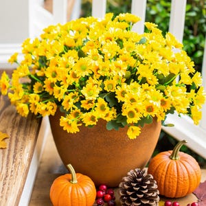 Artificial Mums & Sunflowers: UV Resistant Fall Flowers for Outdoor Autumn Porch Decor