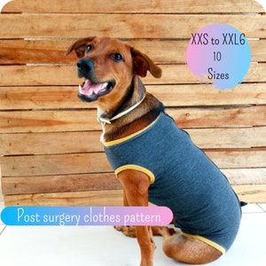 Dog Medical Suit / Dog Medical Vest / Dog recovery vest / Post-surgery pet suit / sewing PDF pattern /Post surgery dog clothing (10 sizes)