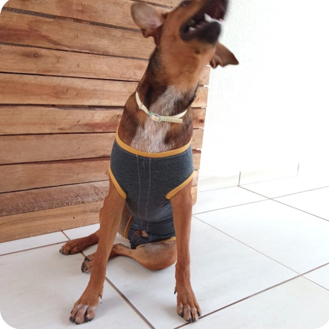 dog-medical-suit-dog-medical-vest-dog-recovery-vest-post-surgery