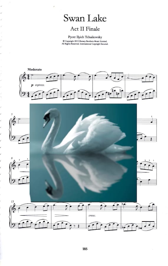 Swan Lake act II finale PDF piano notes sheet Digital Etsy