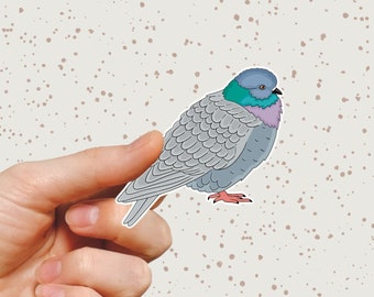 Pigeon  - Waterproof Vinyl Sticker