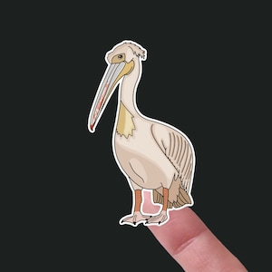Pelican Waterproof Vinyl Sticker / MegWildDesigns / Personalize Your Water Bottle/Planner/Computer/Helmet / Die Cut / Animal/Bird Stickers