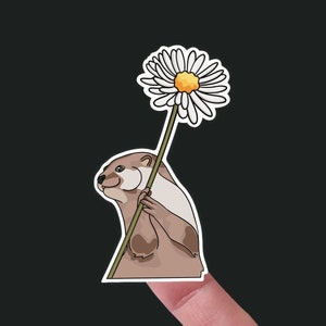 Otter Holding Daisy Waterproof Vinyl Sticker / MegWildDesigns / Personalize Your Water Bottle/Planner/Computer/Helmet / Die Cut / Animal