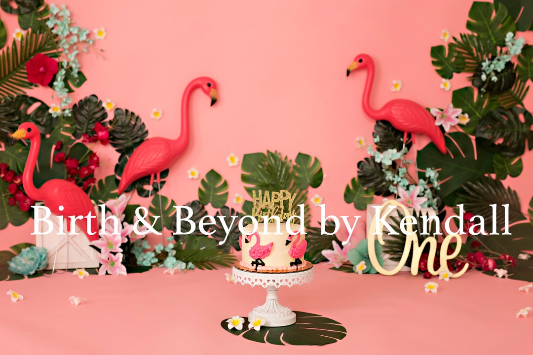 Flamingo Cake Smash Digital Backdrop First Birthday Digital Download ...
