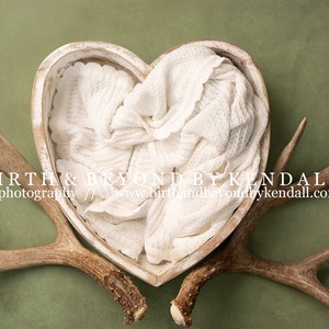 Antlers Newborn Digital Backdrop | Newborn boy digital backdrop, Digital Newborn Backdrop, Hunting Newborn Backdrop, Green Newborn Backdrop