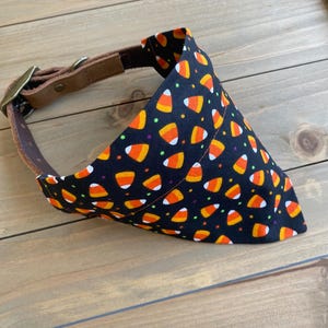 May include: Black dog bandana with a candy corn pattern. The bandana is attached to a brown leather collar.
