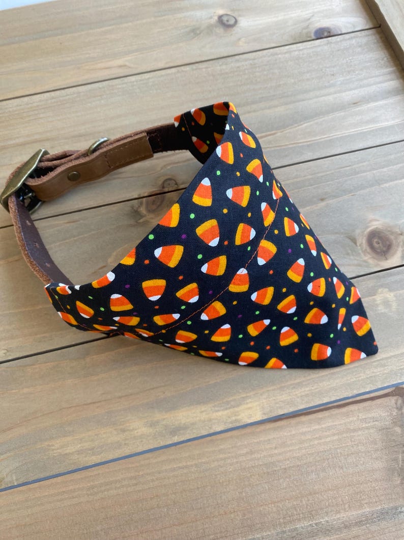May include: Black dog bandana with a candy corn pattern. The bandana is attached to a brown leather collar.