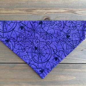 May include: Purple bandana with a black spiderweb and spider pattern.