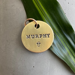 MURPHY: Mushroom Dog Tag - Prsonalized Pet Tag for Dog and Cat - Handmade Dog ID Tag – Dog Name Tags – Pet Collar – Cat Tag – Brass - Cute