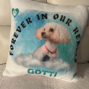 May include: White plush pillow with a watercolor-style image of a dog. The image is surrounded by a blue background with the words "FOREVER IN OUR HEARTS" and the name "GOTTI" in teal.