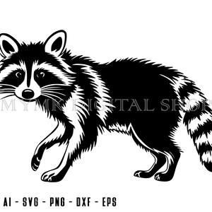 Raccoon svg, Raccoon, Trash Panda svg, svg, png, cricut, dxf, clipart, for Commercial and Personal use