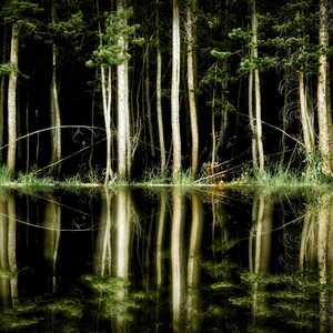 Fine art photography, Fine art , fine art print, photo, gift, Forest Reflection