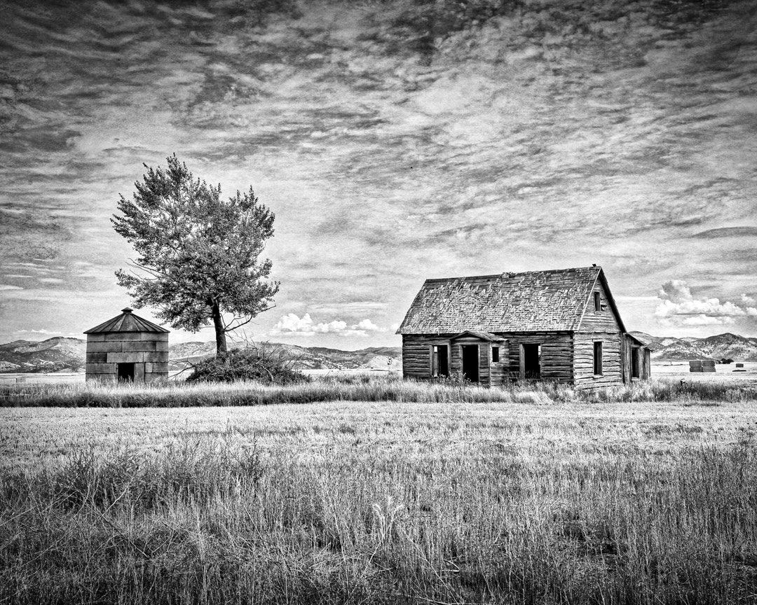 Fine Art Photography Fine Art Fine Art Print Photo Gift Etsy