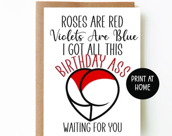Naughty Cards Offensive Funny Cheeky Adult #106 Rude Birthday Card