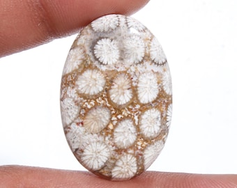 Natural Fossil Coral Pair  Gemstone For Jewellery Gemstone Making Quality Fossil Coral Pair Cabochon AAA