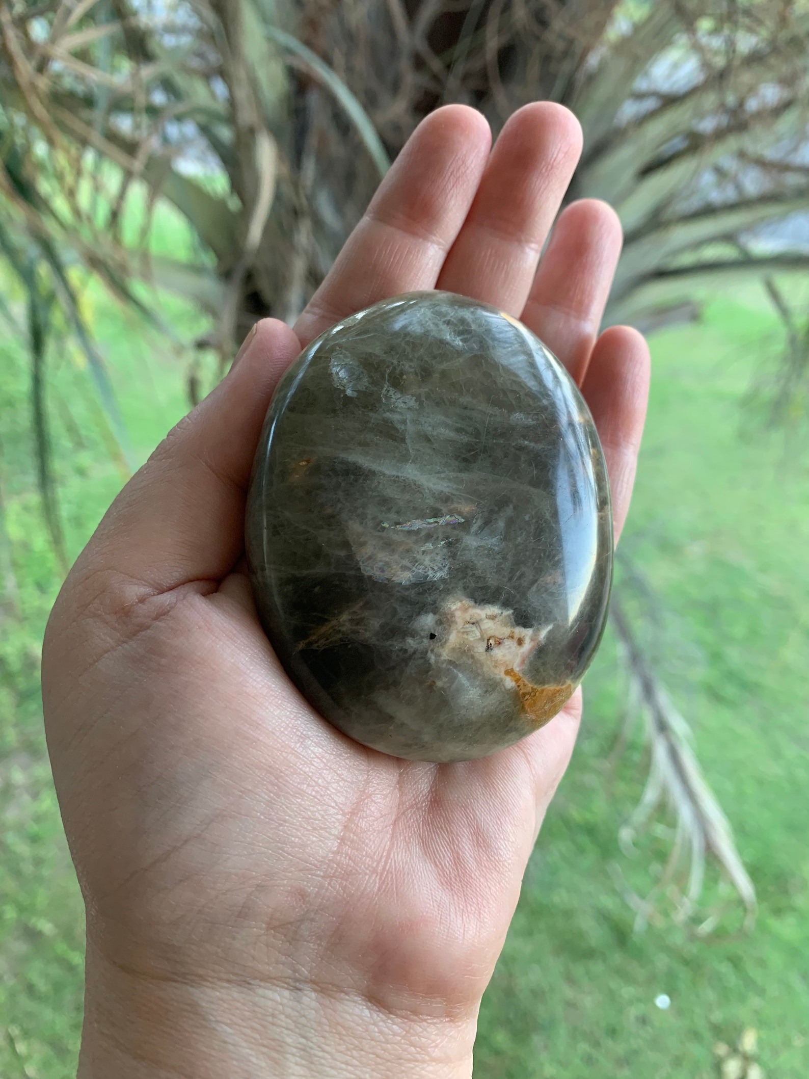 Black Moonstone Crystal CrystalsHealing Spiritual Etsy