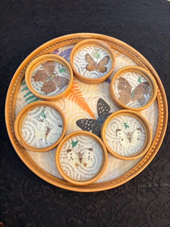 Vintage Mid-Century Pressed Butterfly Bamboo Coaster Set with Caddy Tray