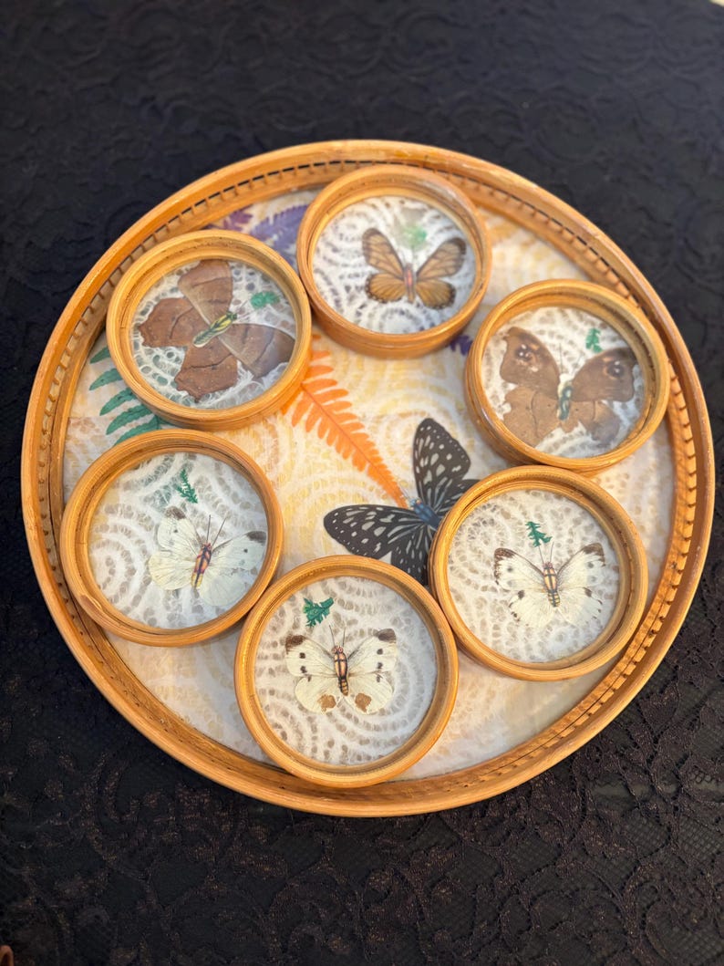 Peut inclure: Un ensemble de six dessous de verre ronds avec des sp&eacute;cimens de papillons encastr&eacute;s dans de la r&eacute;sine transparente, pos&eacute;s sur un plateau d&eacute;coratif. Les dessous de verre pr&eacute;sentent des papillons de diff&eacute;rentes couleurs et motifs, avec un cadre en bois naturel. Le plateau a une finition en bois clair et un motif.