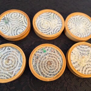 Peut inclure: Six dessous de verre ronds avec un cadre en bois clair et un centre transparent. Le centre de chaque dessous de verre pr&eacute;sente un motif blanc en spirale, semblable &agrave; de la dentelle. Les dessous de verre sont dispos&eacute;s en deux rang&eacute;es de trois.